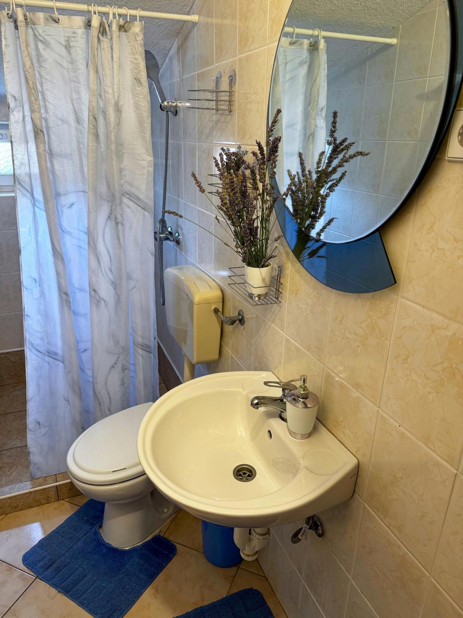 Apartmani Cvangic Vir Extérieur photo